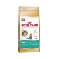 RC Maine Coon 31 10 кг. питание для кошек крупных пород.